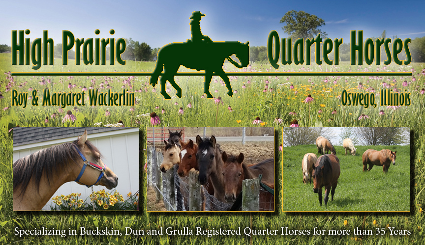 High Prairie Quarter Horses